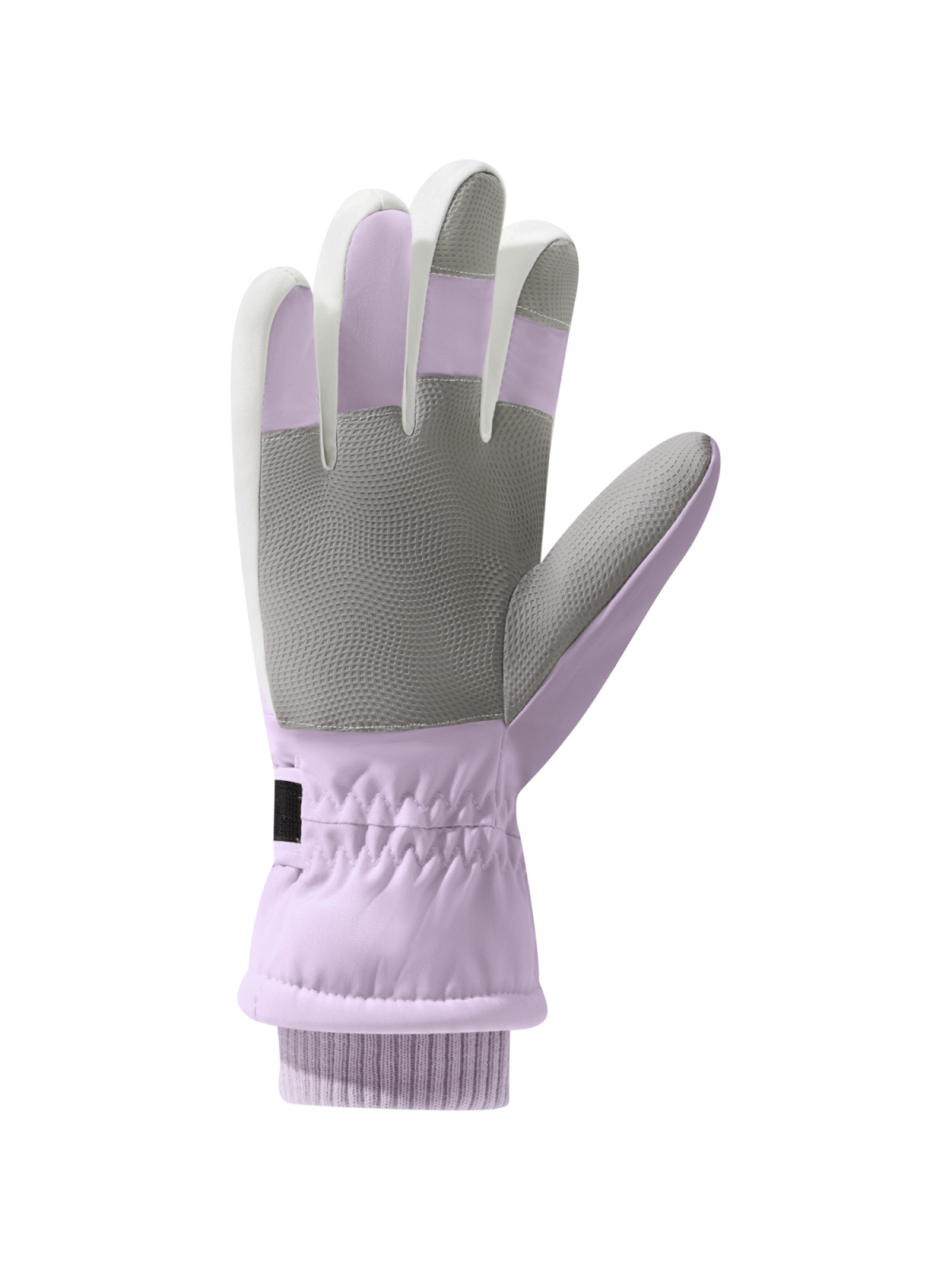 Purple-4